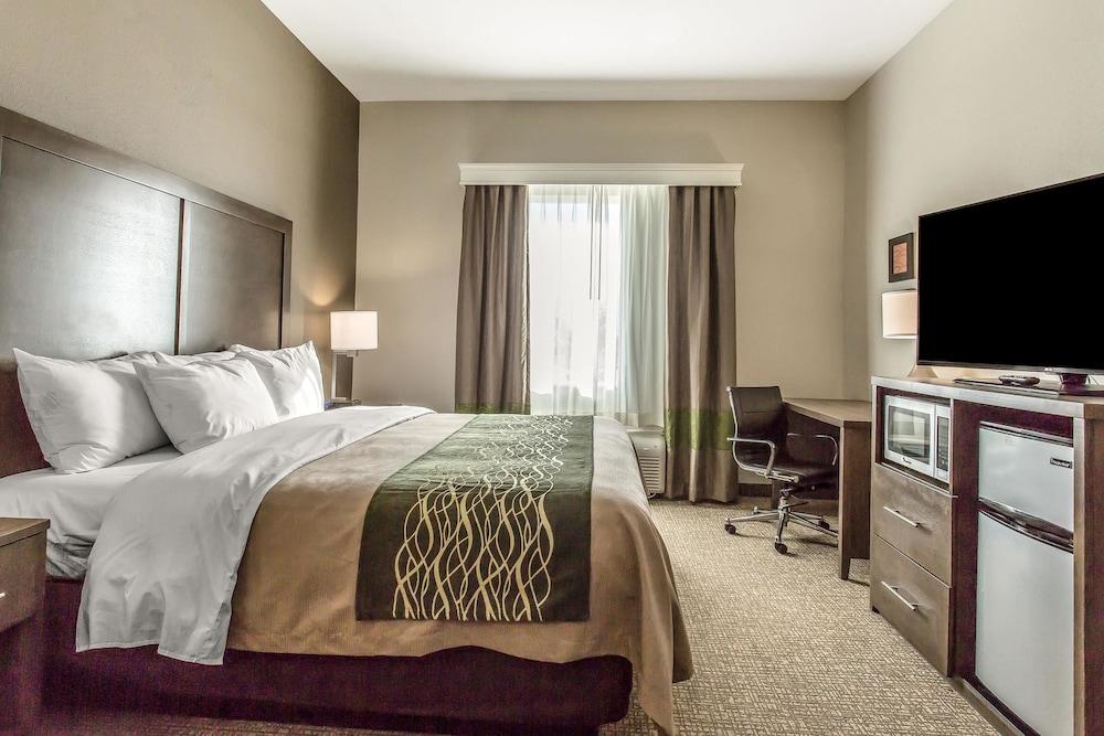 Comfort Inn & Suites Snyder Kültér fotó