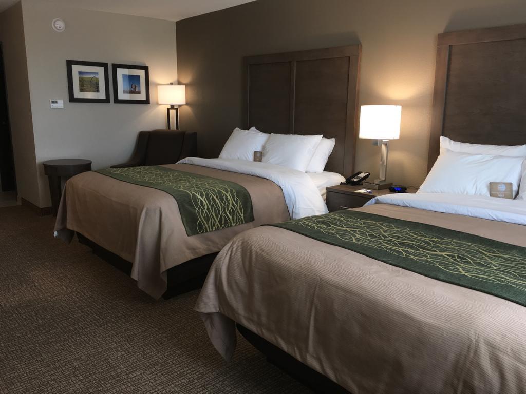 Comfort Inn & Suites Snyder Kültér fotó