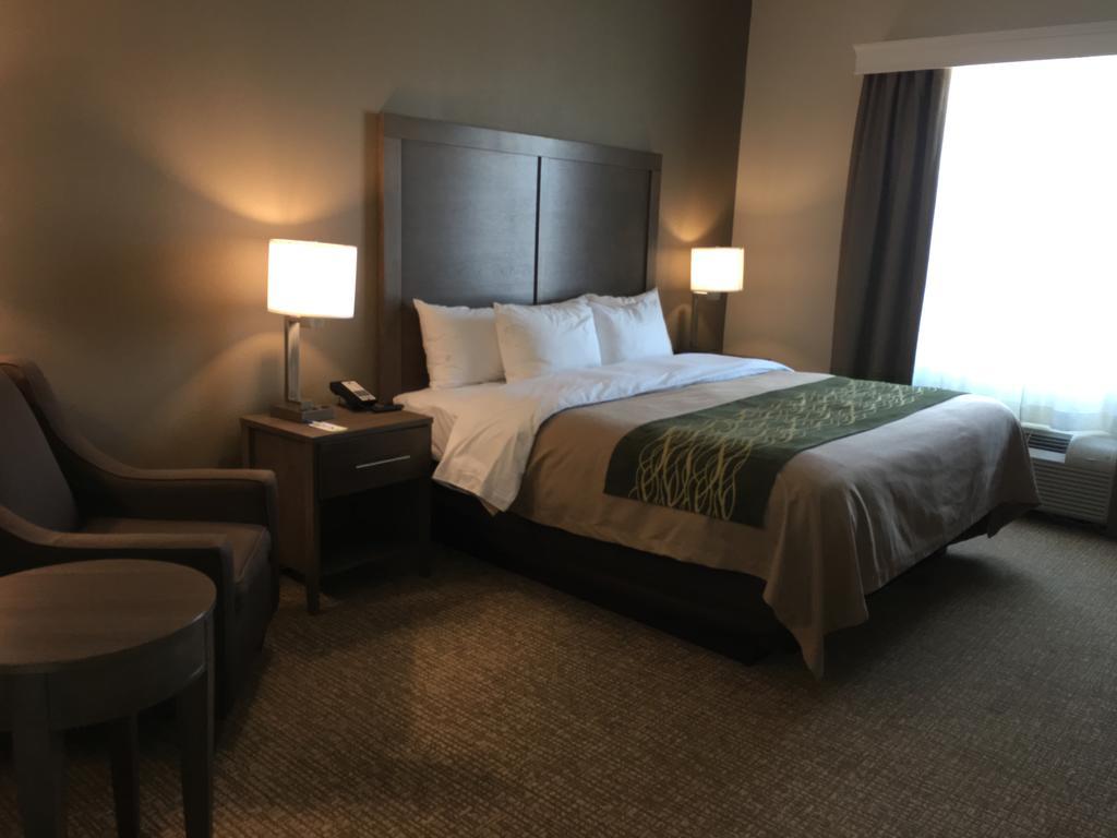 Comfort Inn & Suites Snyder Kültér fotó
