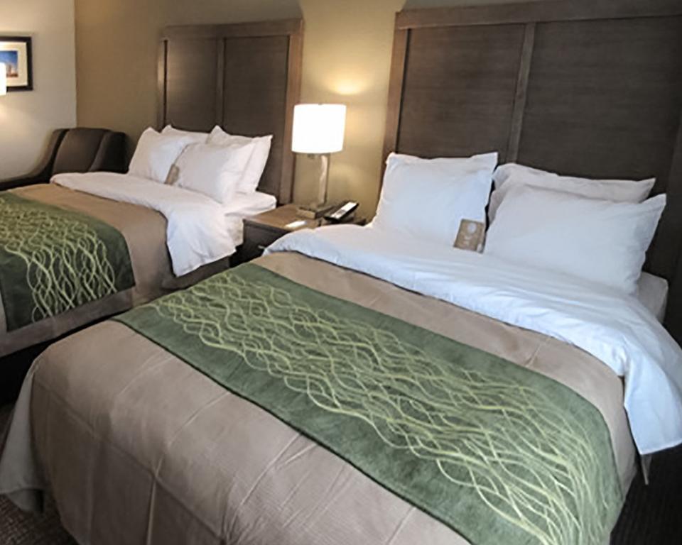 Comfort Inn & Suites Snyder Kültér fotó